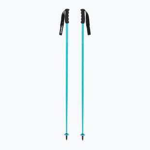 Ski poles HEAD Worldcup SL speed blue/black/white
