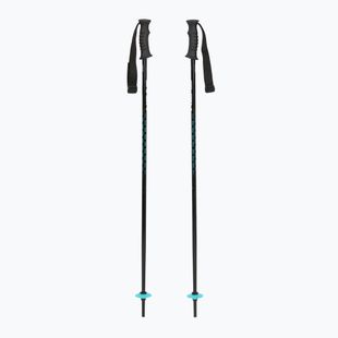Children's ski poles HEAD Supershape Team Jr white/black/speed blue