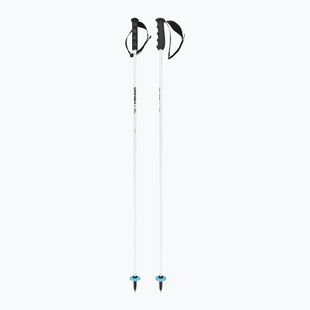Ski poles HEAD Worldcup Rebels Carbon white
