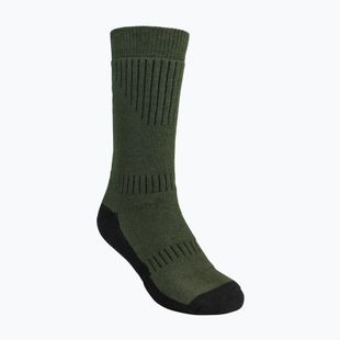 Men's Pinewood Drytex Sock Middle green/d.brown trekking socks