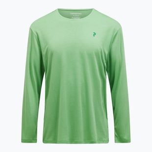 Men's Peak Performance Delta LS peppermint longsleeve