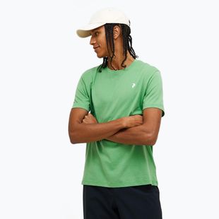 Peak Performance men's Explore Graphic peppermint t-shirt