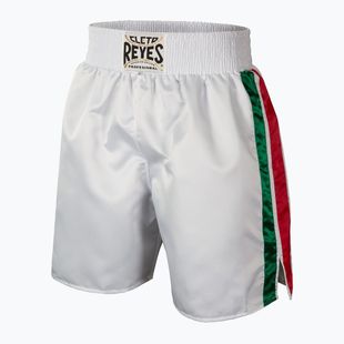 Cleto Reyes men's Satin Boxing shorts white/green/red