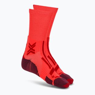 Men's socks X-Socks Trailrun Perform Crew fluo red/namib red