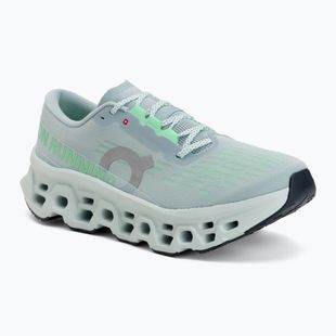 Men's running shoes On Cloudmonster 3 brook/flurry