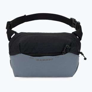 Waist bag Mammut Alto Waistpack 2 l strata
