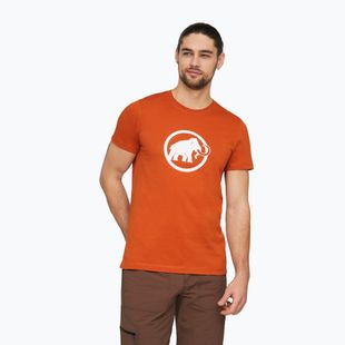 Men's T-shirt Mammut Core T-Shirt Men Classic autumn larice
