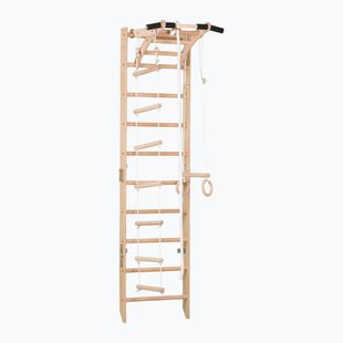 RINAGYM SPR A gymnastic ladder