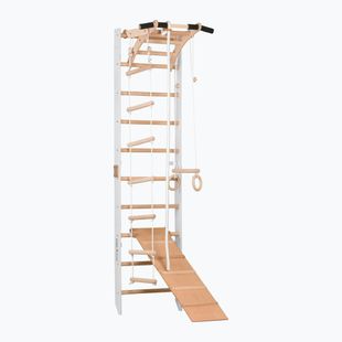 RINAGYM SPR A+SLIDE gymnastic ladder