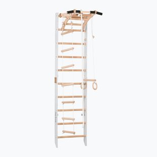 RINAGYM gymnastic ladder SPR A white