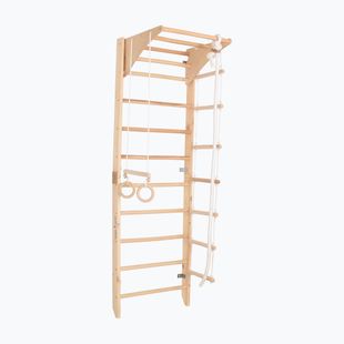 RINAGYM Kombi 2 gymnastic ladder