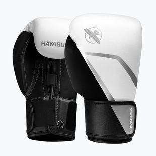 Boxing gloves Hayabusa E1 Boxing white/silver