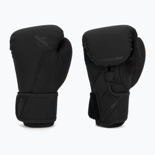 Boxing gloves Hayabusa T360 Boxing black
