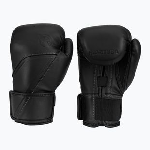 Boxing gloves Hayabusa E1 Leather black