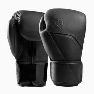 Boxing gloves Hayabusa E1 Leather black