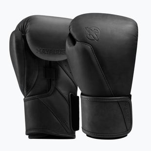 Boxing gloves Hayabusa T360 Leather black