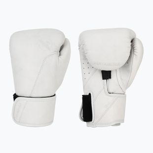 Boxing gloves Hayabusa T360 Leather white