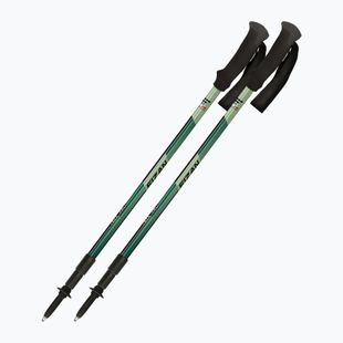 Trekking poles  Fizan Trek Pro dark green