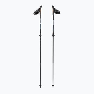 Nordic walking poles Fizan R-Evolution beige