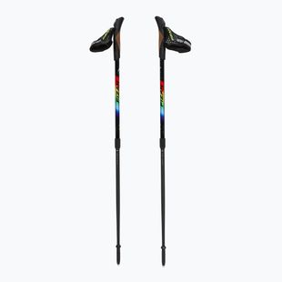 Nordic walking poles Fizan Speed Junior rainbow