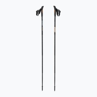 Nordic walking poles Fizan Lite 4 Tech beige