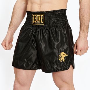 Men's boxer shorts LEONE 1947 Basic 2 black