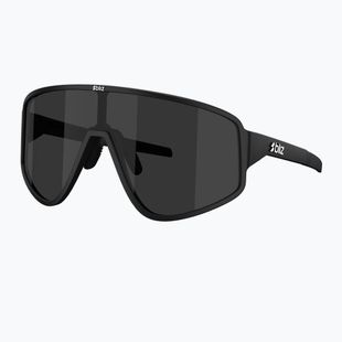 Sunglasses Bliz A004 matte black/smoke