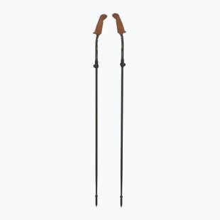 Fizan Walx Pro Nordic walking poles