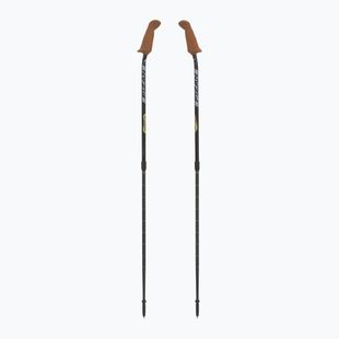 Fizan Walx Velocity Nordic walking poles