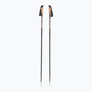 Fizan Compact 1947 desert trekking poles