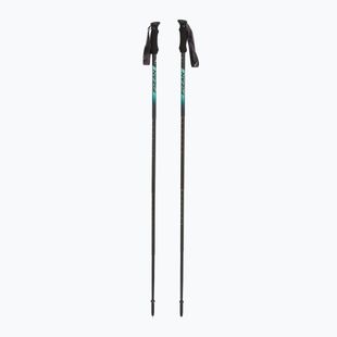 Fizan Compact 4 water green trekking poles