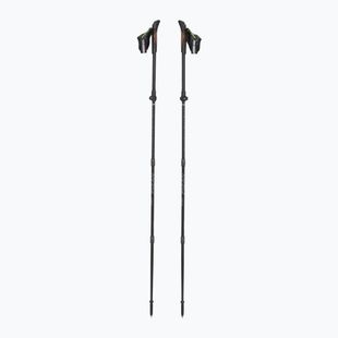 Fizan RFP Trail poles black