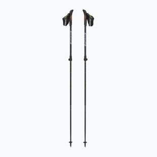 Nordic walking poles Fizan R-evolution grey/ocean