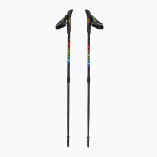 Fizan Speed JR rainbow children's Nordic walking poles