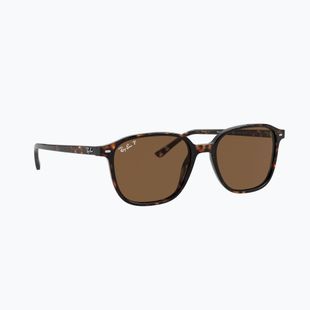 Sunglasses Ray-Ban Leonard tortoise/brown polarized