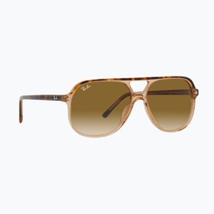 Sunglasses Ray-Ban Bill havana brown/transparent brown