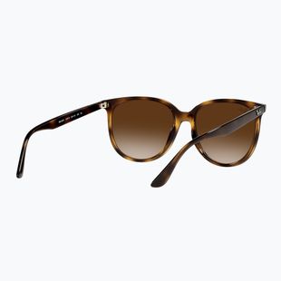 Sunglasses Ray-Ban RB4378 havana/brown gradient