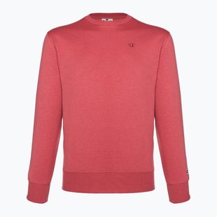 Champion Rochester men's sweatshirt dark red