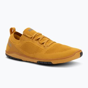 Men's barefoot shoes Xero Shoes Nexus Knit gold