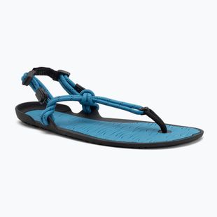 Men's barefoot sandals Xero Shoes Aqua Cloud blue/sapphire