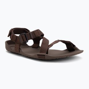 Men's barefoot sandals Xero Shoes Z-Trek brown