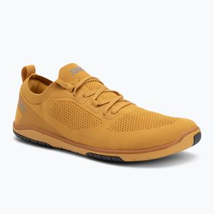 Women's barefoot shoes Xero Shoes Nexus Knit gold