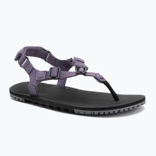 Women's barefoot sandals Xero Shoes H-Trail sage purple