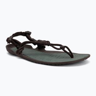 Men's barefoot sandals Xero Shoes Aqua Cloud java/brown/dark/forest