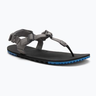 Men's barefoot sandals Xero Shoes H-Trail steel gray/blue/lolite