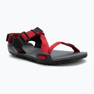 Barefoot Children's Xero Shoes Z-Trail charcoal/red pepper sandals