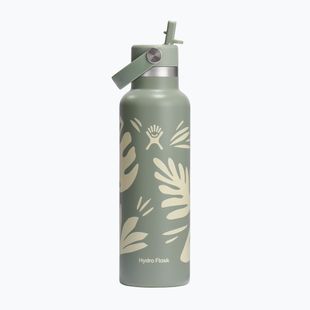 Hydro Flask Standard Flex Straw thermal bottle 620 ml botanical bliss/agave