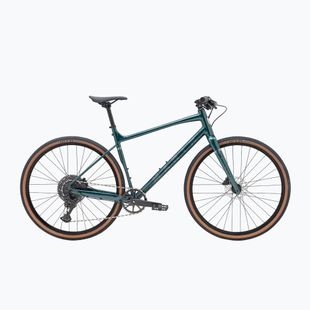 Gravel bike Marin DSX 1 700C green/silver