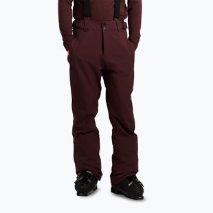 Men's snowboard trousers Protest PRTMikado pecanred
