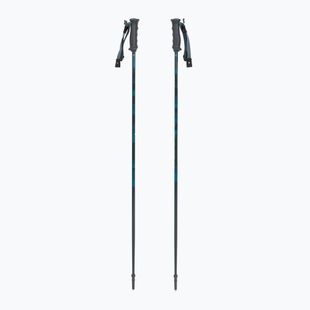 Ski poles Fischer RC4 Noize grey / blue